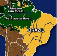 Brazil Rain Forest Map