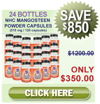 24 Bottles Mangosteen (24 x 515 mg / 120 capsules)