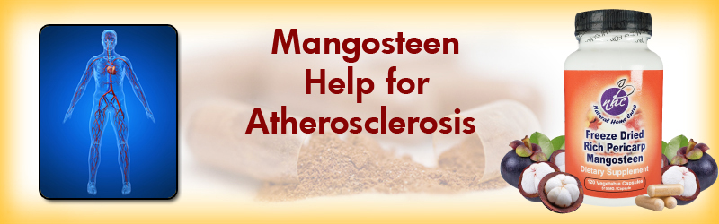 Natural Home Cures Freeze Dried Rich Pericarp Mangosteen May Help With Your Atherosclerosis
