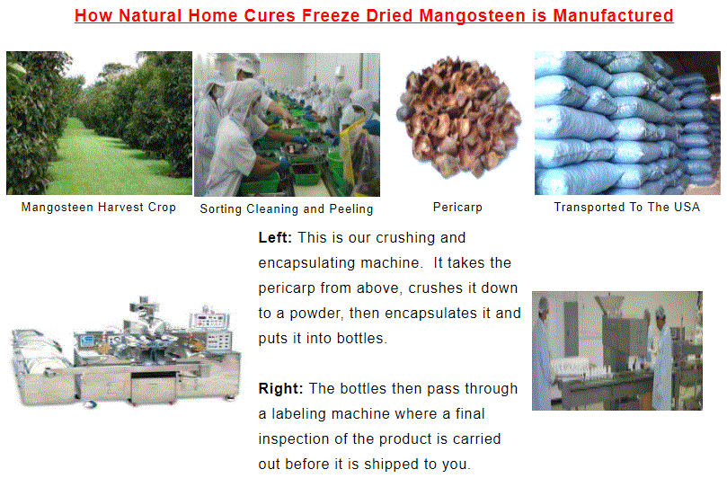 Natural Home Cures Freeze Dried Rich Pericarp Mangosteen Manufacturing