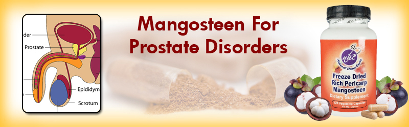 Natural Home Cures Freeze Dried Rich Pericarp Mangosteen For Prostate Disorders