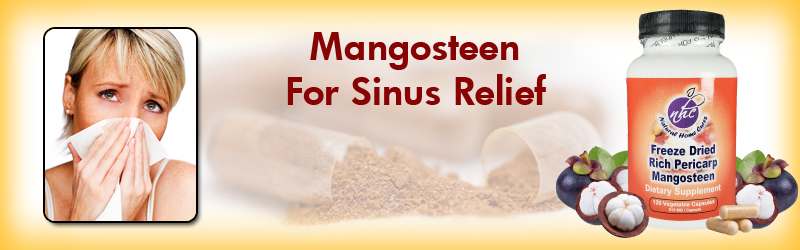 Natural Home Cures Freeze Dried Rich Pericarp Mangosteen Capsules For Sinus Relief